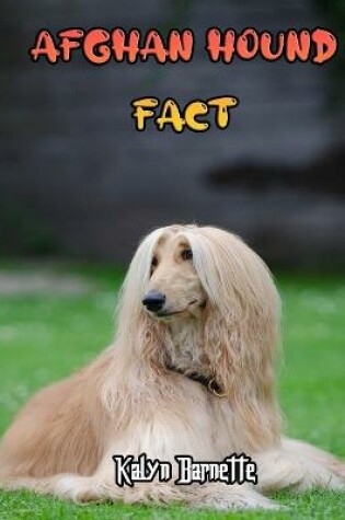 Cover of Afghan Hound Fact