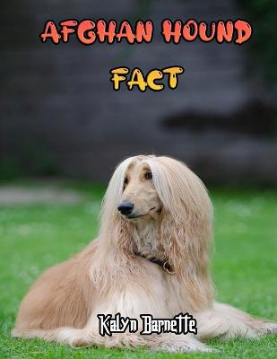 Book cover for Afghan Hound Fact