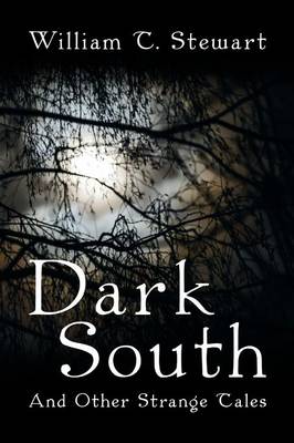 Book cover for Dark South