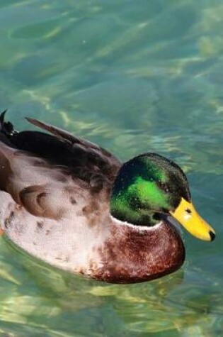 Cover of Handsome Mallard Duck Swimming on the Lake Water Bird Journal
