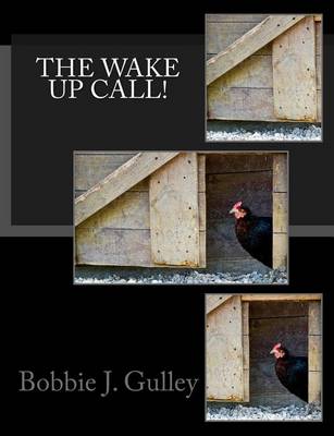 Book cover for The Wake Up Call!