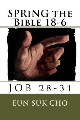Book cover for Spring the Bible 18-6
