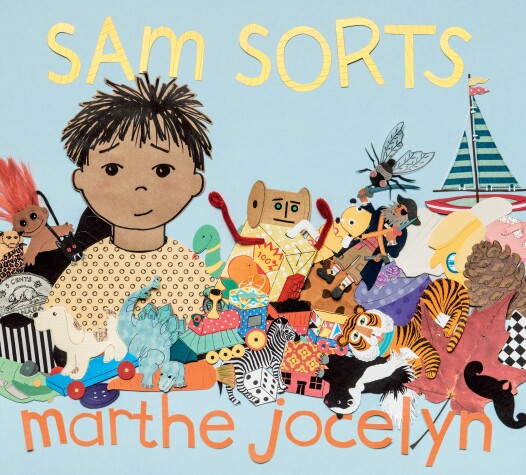 Book cover for Sam Sorts