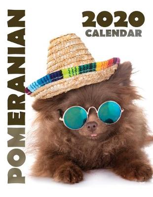 Book cover for Pomeranian 2020 Calendar