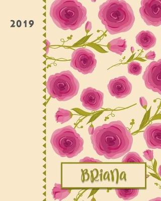 Book cover for Briana 2019