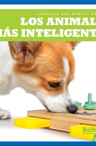 Cover of Los Animales Más Inteligentes (Smartest Animals)