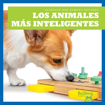 Cover of Los Animales Más Inteligentes (Smartest Animals)