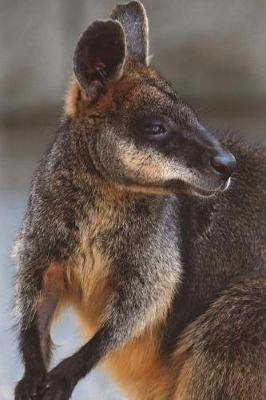 Book cover for Swamp Wallaby Journal