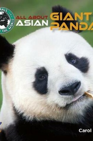 Cover of All about Asian Giant Pandas