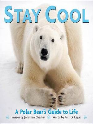 Cover of Stay Cool