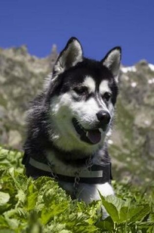 Cover of Happy Siberian Husky Dog Outdoors in the Mountains Pet Journal