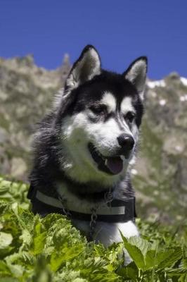 Book cover for Happy Siberian Husky Dog Outdoors in the Mountains Pet Journal