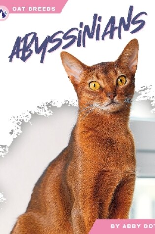 Cover of Abyssinians