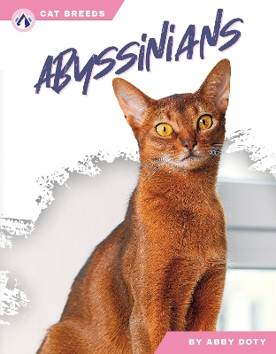 Book cover for Abyssinians