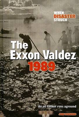 Book cover for The EXXON Valdez 1989