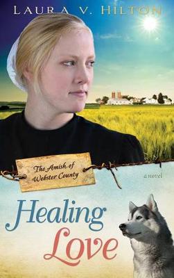 Book cover for Healing Love