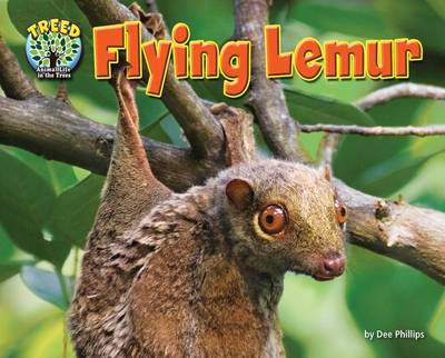 Cover of Flying Lemur