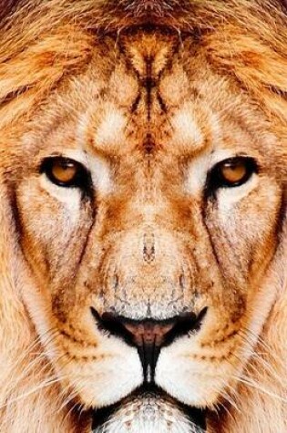 Cover of Website Password Organizer, Close Up of a Male Lion