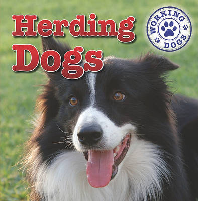 Book cover for Herding Dogs