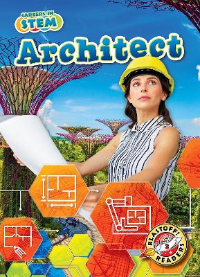 Book cover for Architect