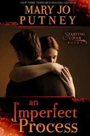Cover of An Imperfect Process