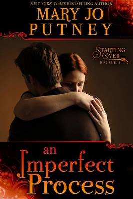 Book cover for An Imperfect Process