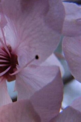 Cover of Spring Cherry Blossom Notebook