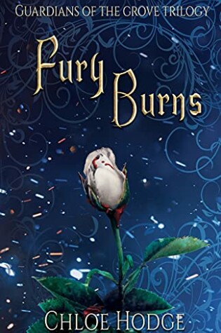 Cover of Fury Burns