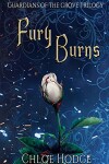 Book cover for Fury Burns