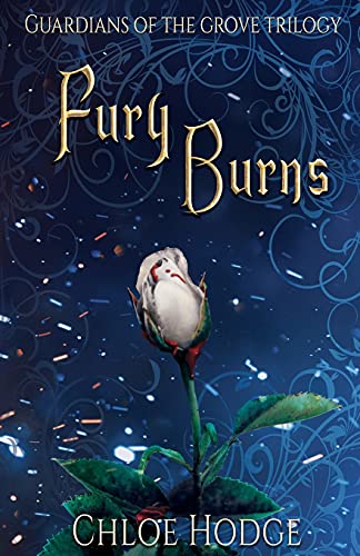 Cover of Fury Burns