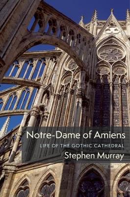 Book cover for Notre-Dame of Amiens