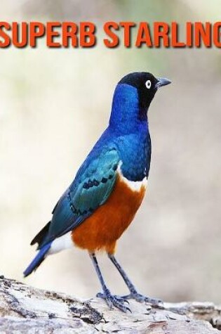 Cover of Superb Starling