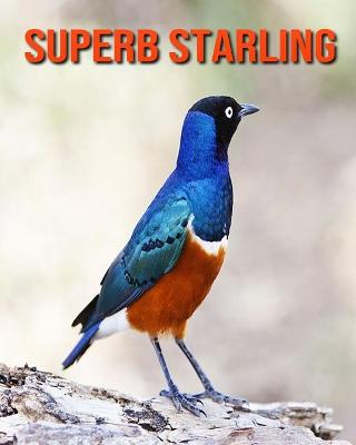 Book cover for Superb Starling