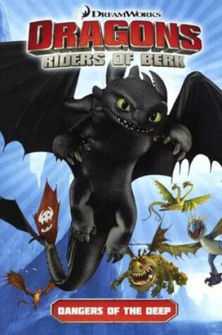 Cover of Dragons: Riders of Berk V02