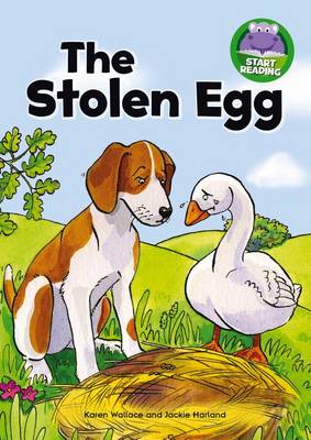 Book cover for The Stolen Egg