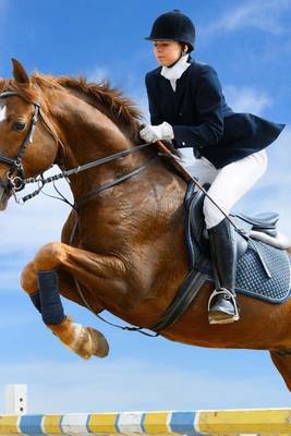 Book cover for Young Girl Jumping with a Sorrel Horse