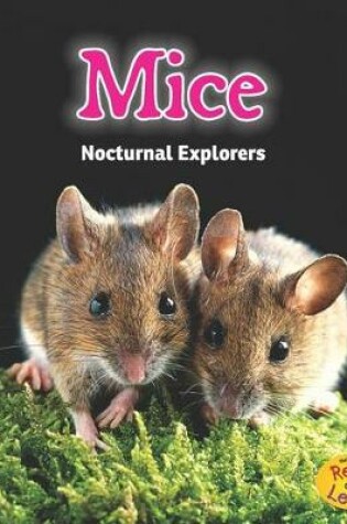 Cover of Mice: Nocturnal Explorers (Night Safari)