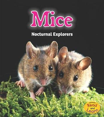 Book cover for Mice: Nocturnal Explorers (Night Safari)
