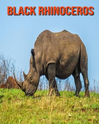 Cover of Black Rhinoceros