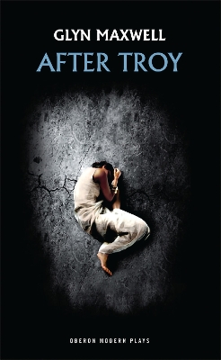 Book cover for After Troy