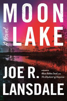 Book cover for Moon Lake