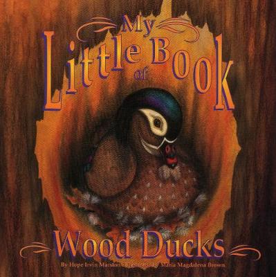 Book cover for My Little Book of Wood Ducks