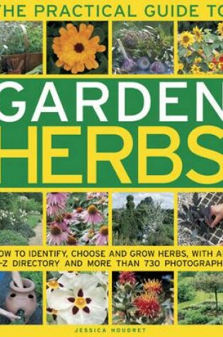 Cover of Practical Guide to Garden Herbs