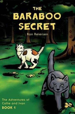 Cover of The Baraboo Secret