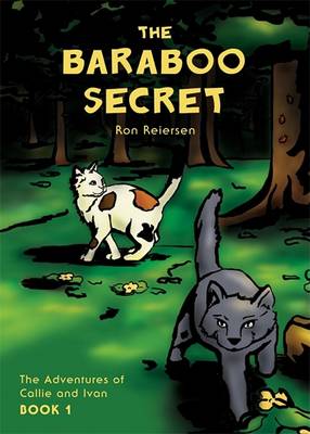 Cover of The Baraboo Secret
