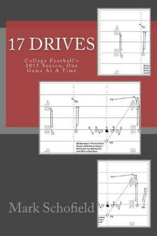 Cover of 17 Drives