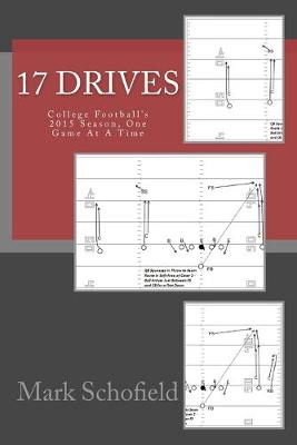 Book cover for 17 Drives