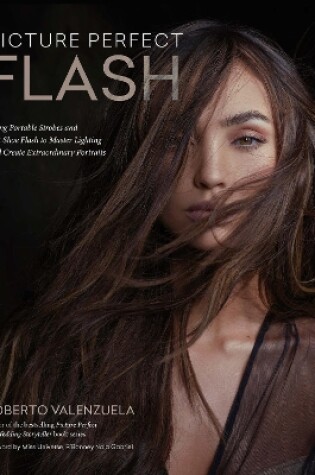 Cover of Picture Perfect Flash