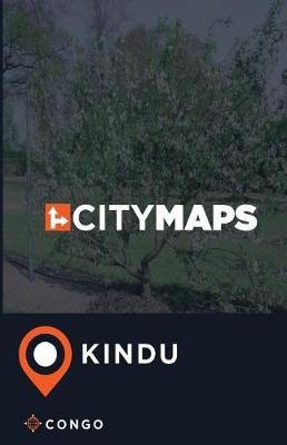 Book cover for City Maps Kindu Congo