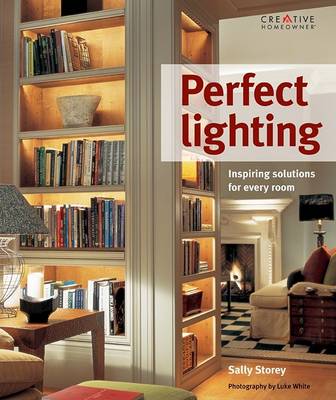 Book cover for Perfect Lighting